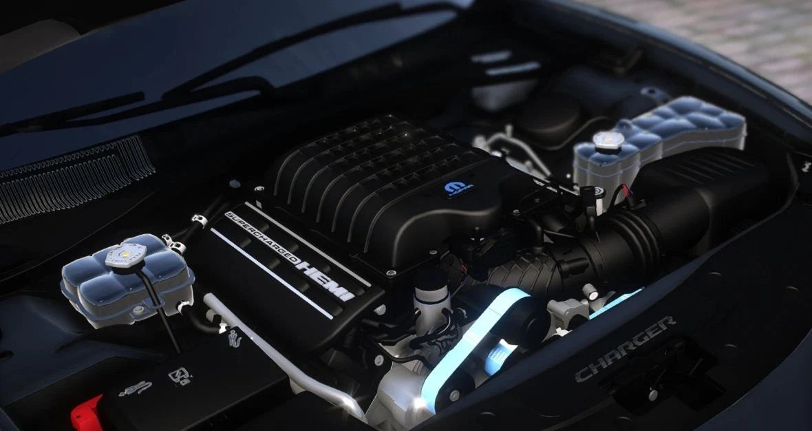 2022 Dodge Charger Cookies Ghoul Custom | Playa Customs