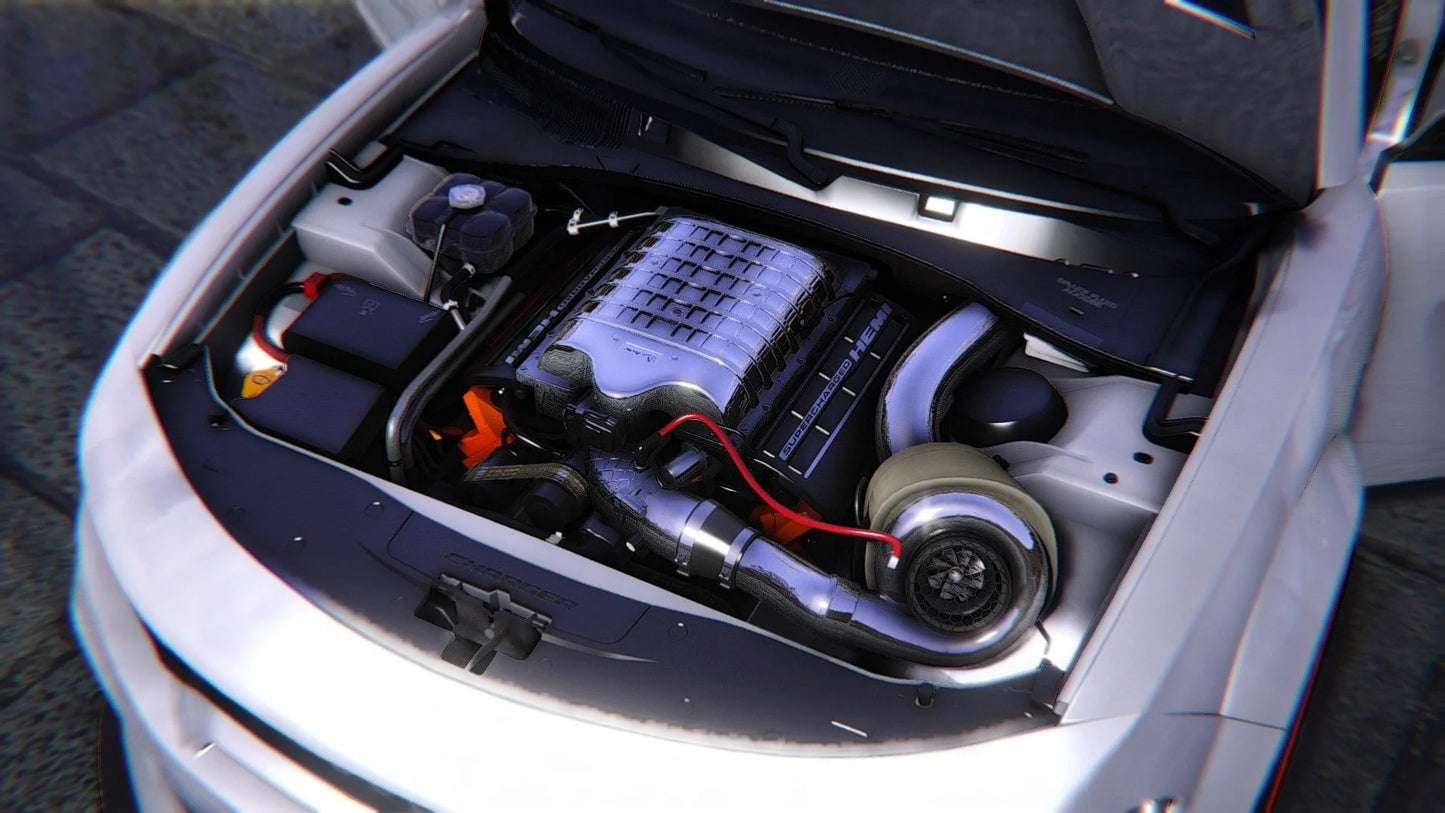 2020 Dodge Charger Turbo Lolcatt | MD