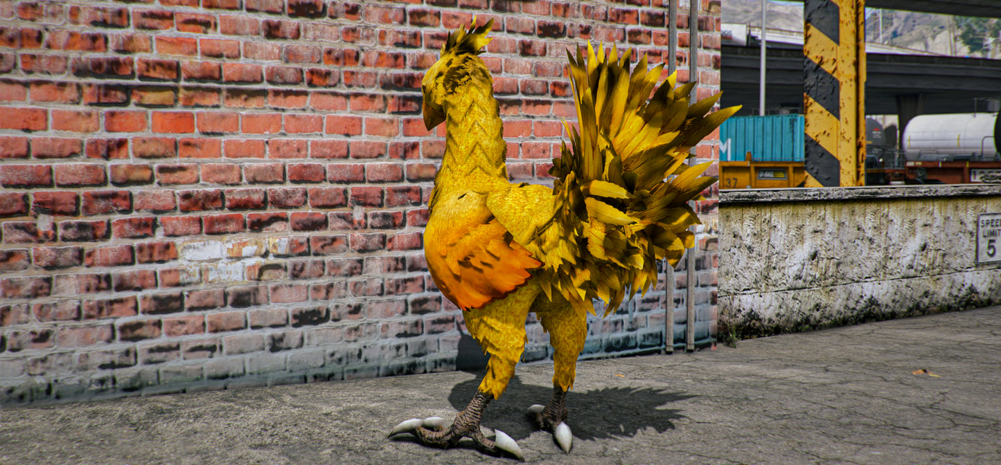 Chocobo
