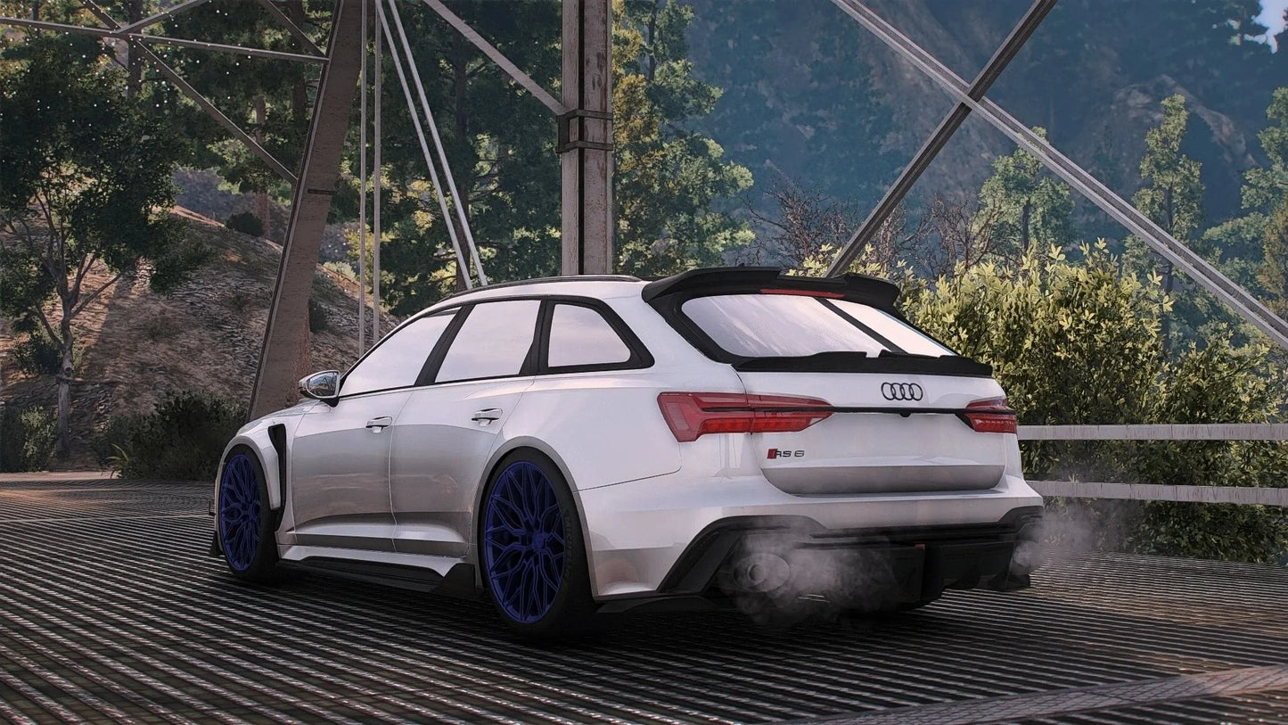 Audi RS6 Darwin | Adan