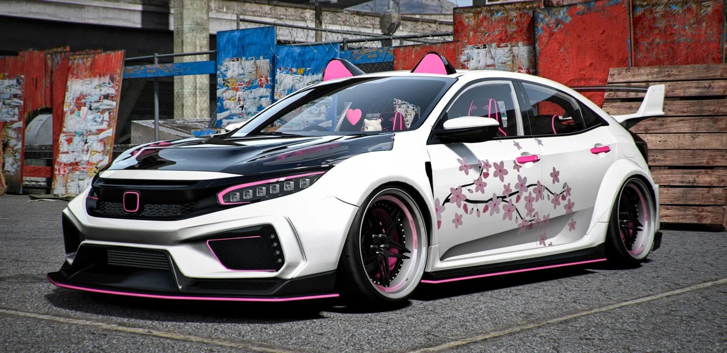 Honda Civic FK8 Type-R Pinky | DEFz Customs