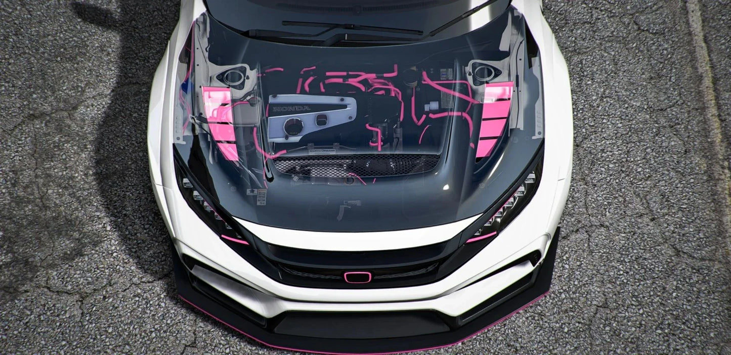 Honda Civic FK8 Type-R Pinky | DEFz Customs