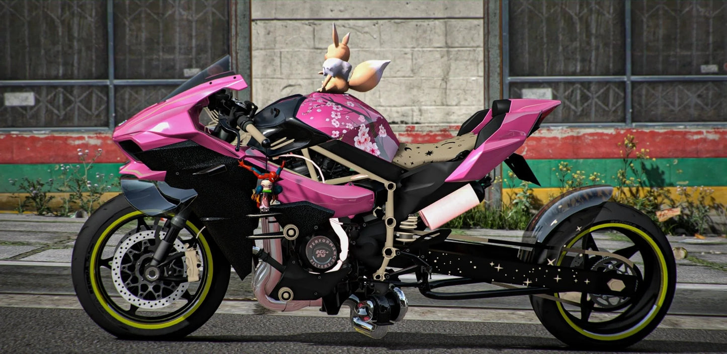 Kawasaki Ninja H2R Drag Eevee Edition | DEFz Customs