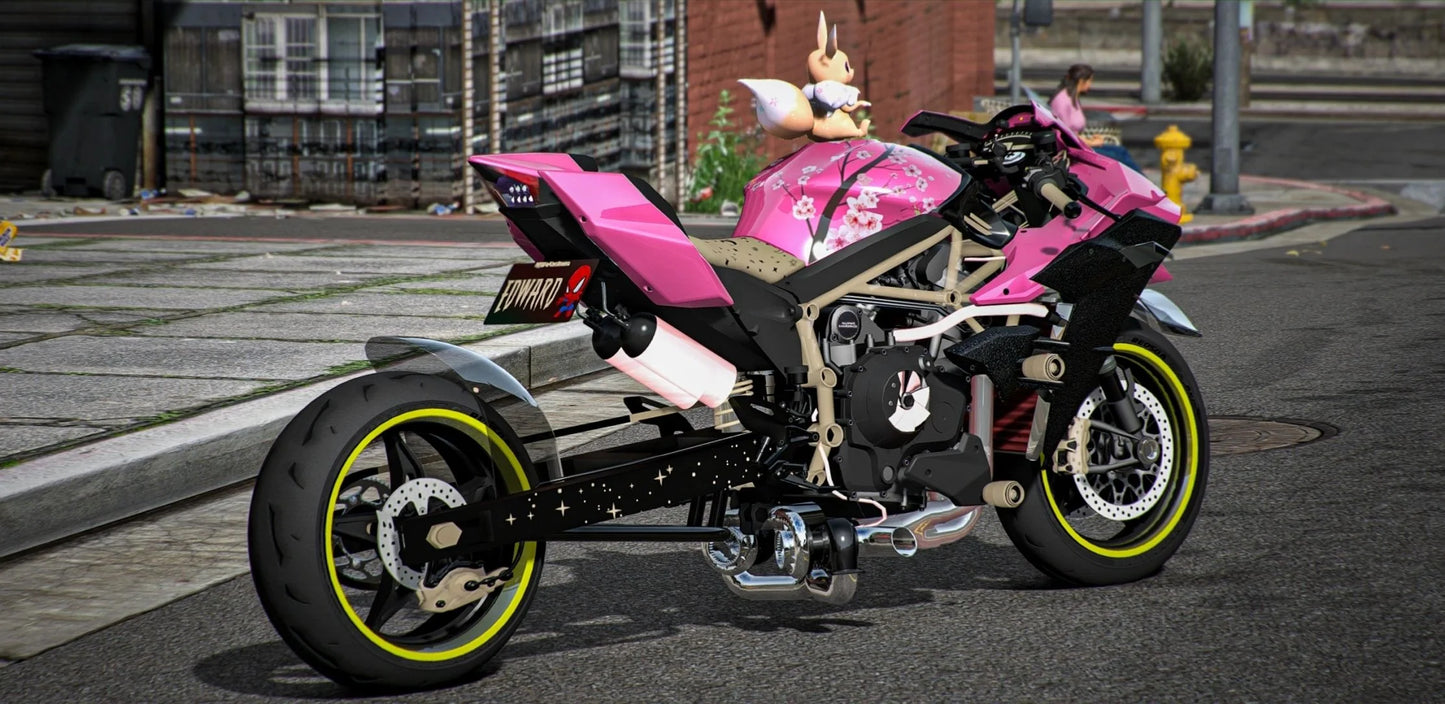 Kawasaki Ninja H2R Drag Eevee Edition | DEFz Customs