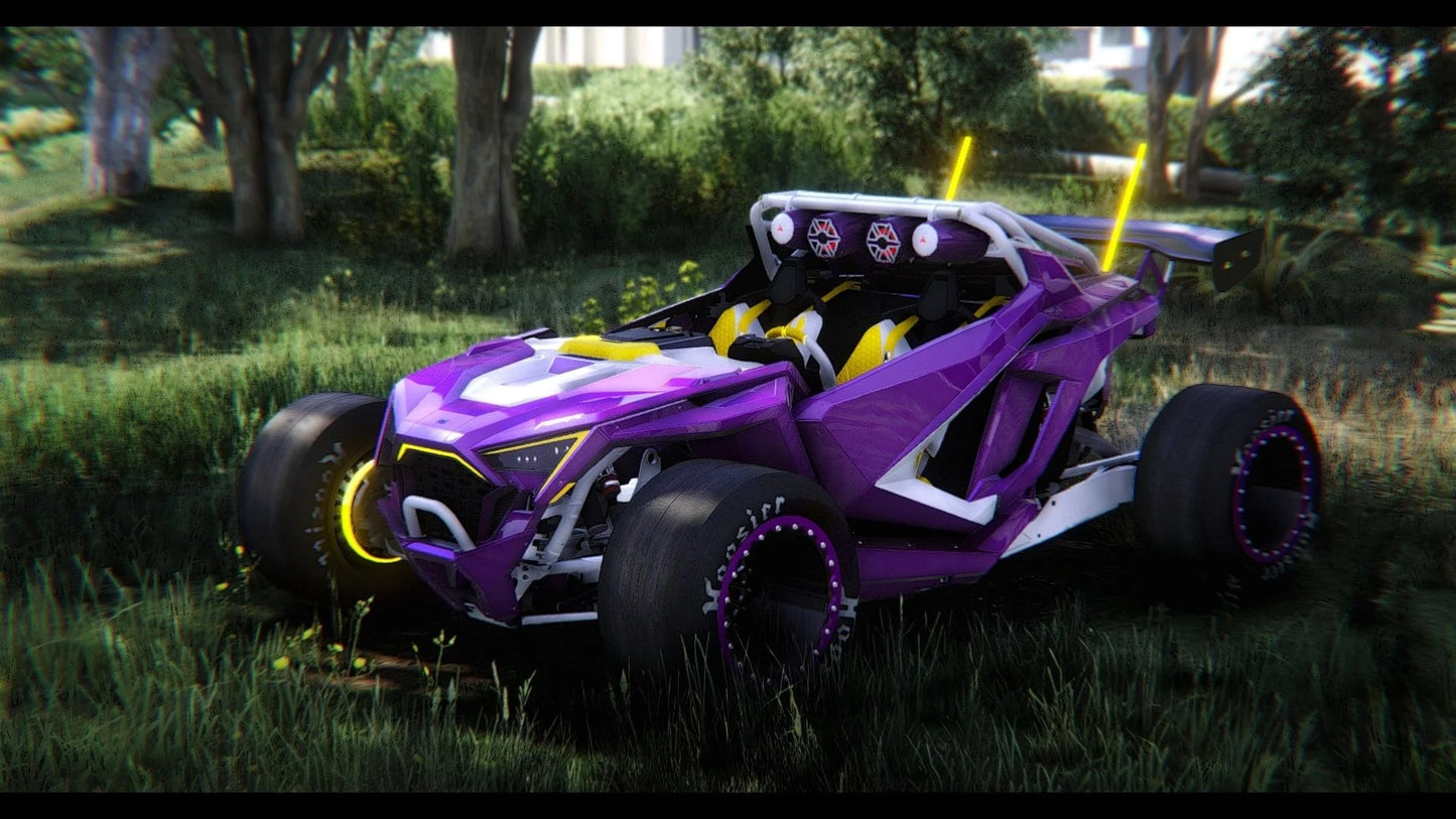 Polaris RZR Roadster H2R Spec | GG