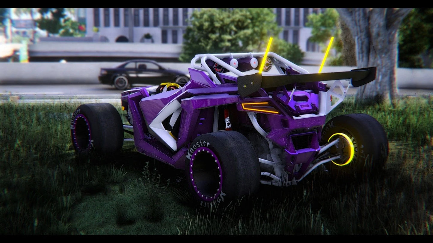 Polaris RZR Roadster H2R Spec | GG