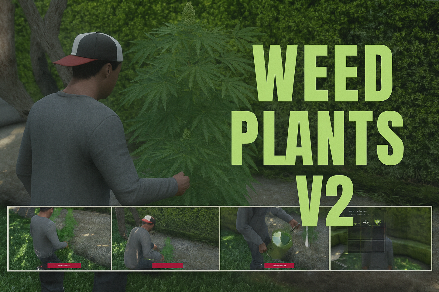 Weed Plants V2