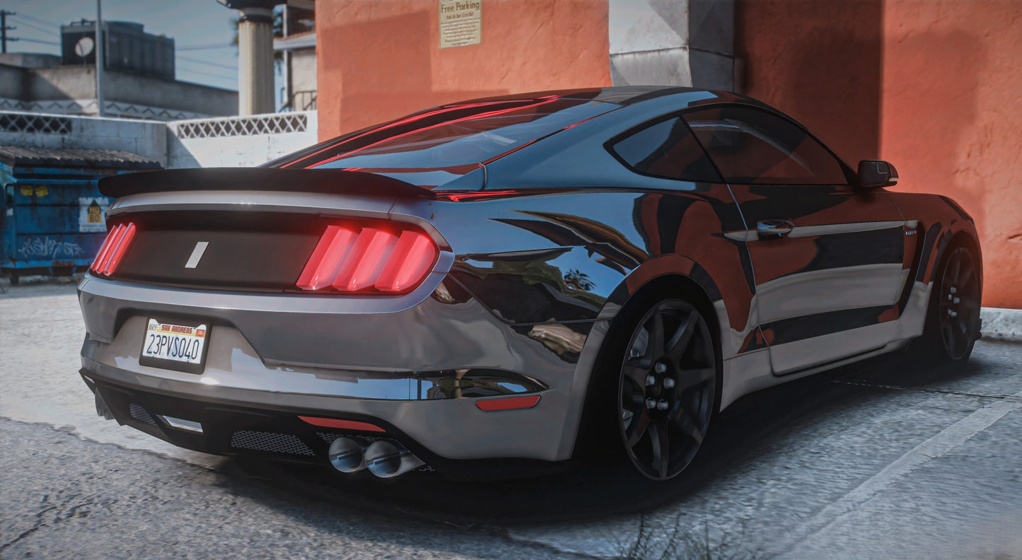 2018 Mustang Shelby GT350R | Underground Customs