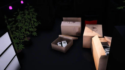 2014 Ford E350 Weed Van | Underground Customs