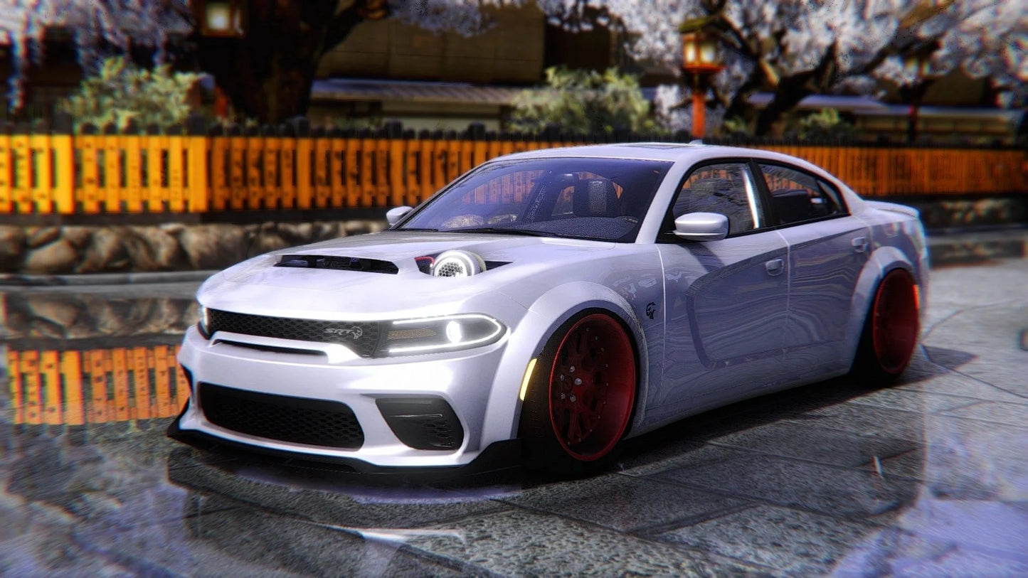 2020 Dodge Charger Turbo Lolcatt | MD