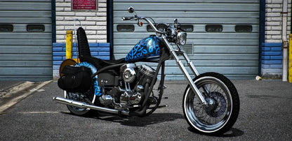Panhead hardtail "The Dried" | AMC