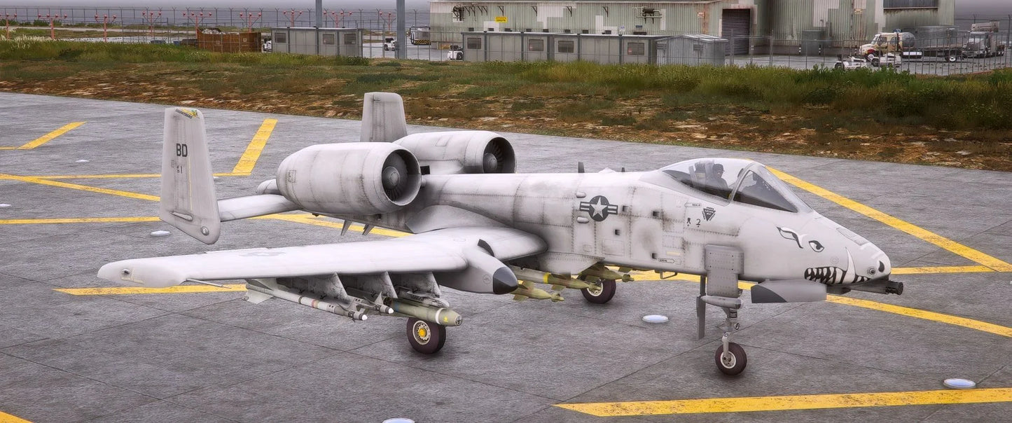A-10 Warthog Thunderbolt USA AirForce | MisterG