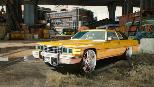 Cadillac Deville 1974 Donk | Willie