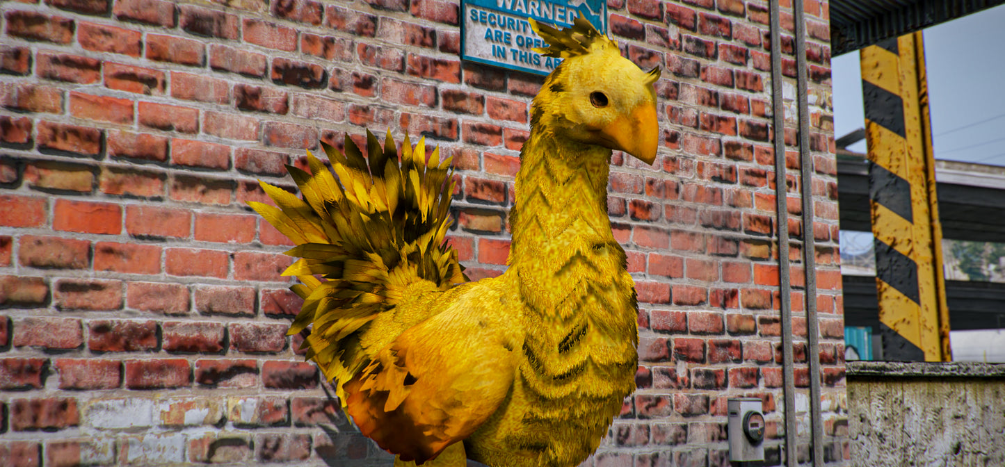 Chocobo