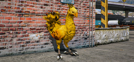 Chocobo