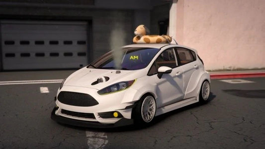 (Debadged) Ford Fiesta ST Widebody Turbo I COOLER