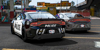 [ELS] 2022 Dodge Charger | Rabbit