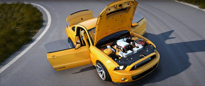 Ford Shelby GT1000 | Pers
