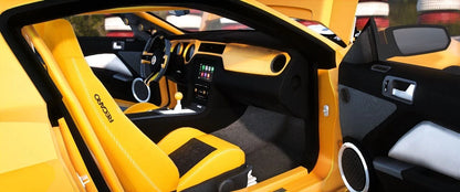 Ford Shelby GT1000 | Pers