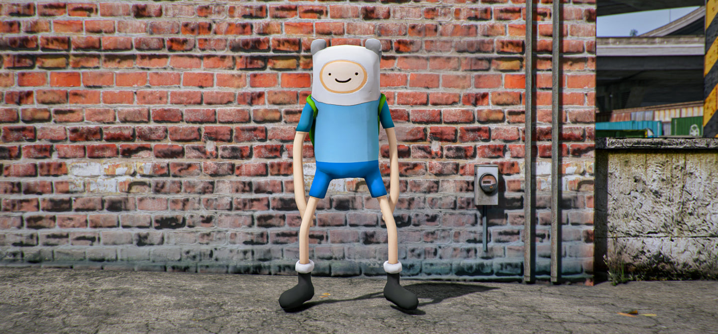 Finn