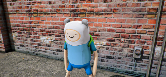 Finn