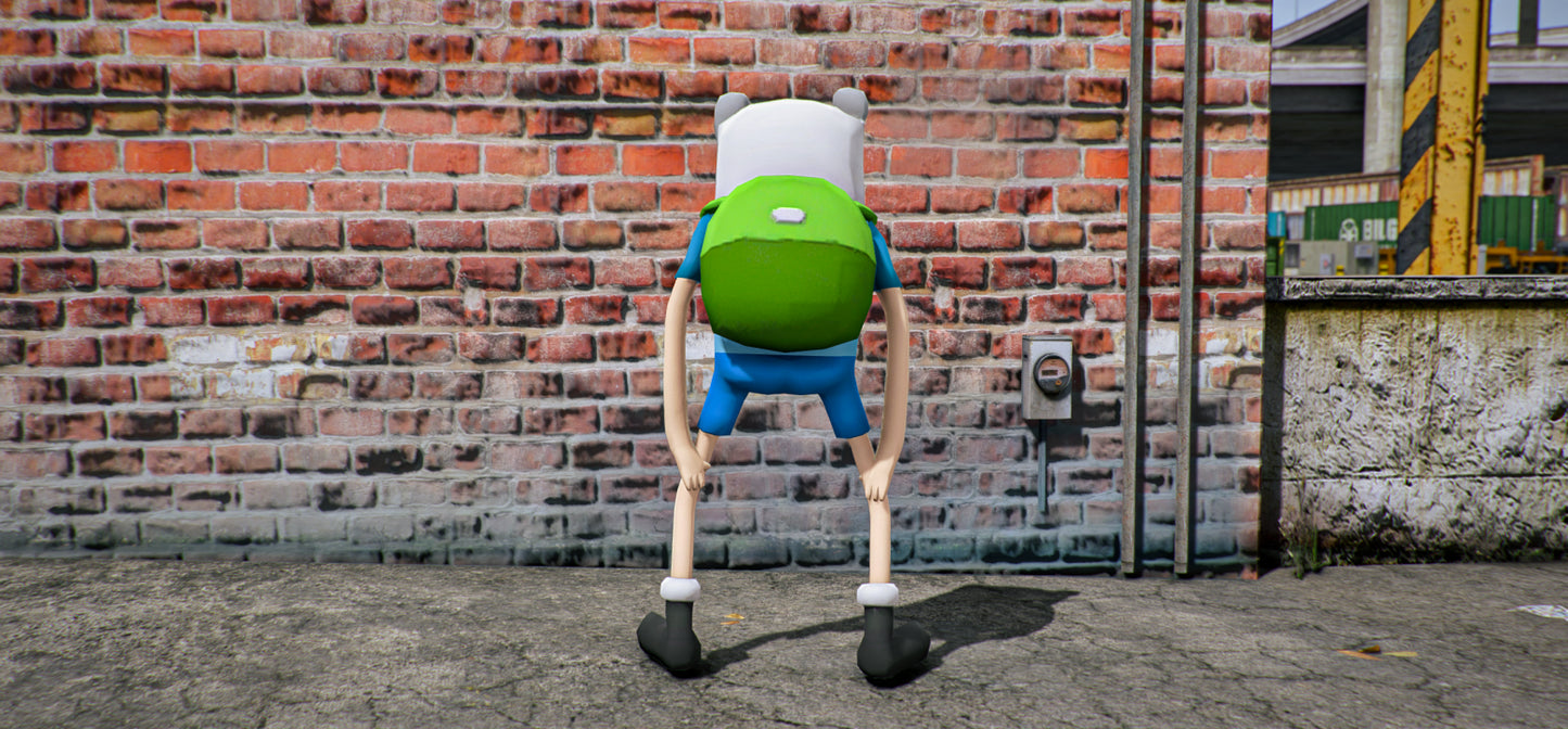 Finn