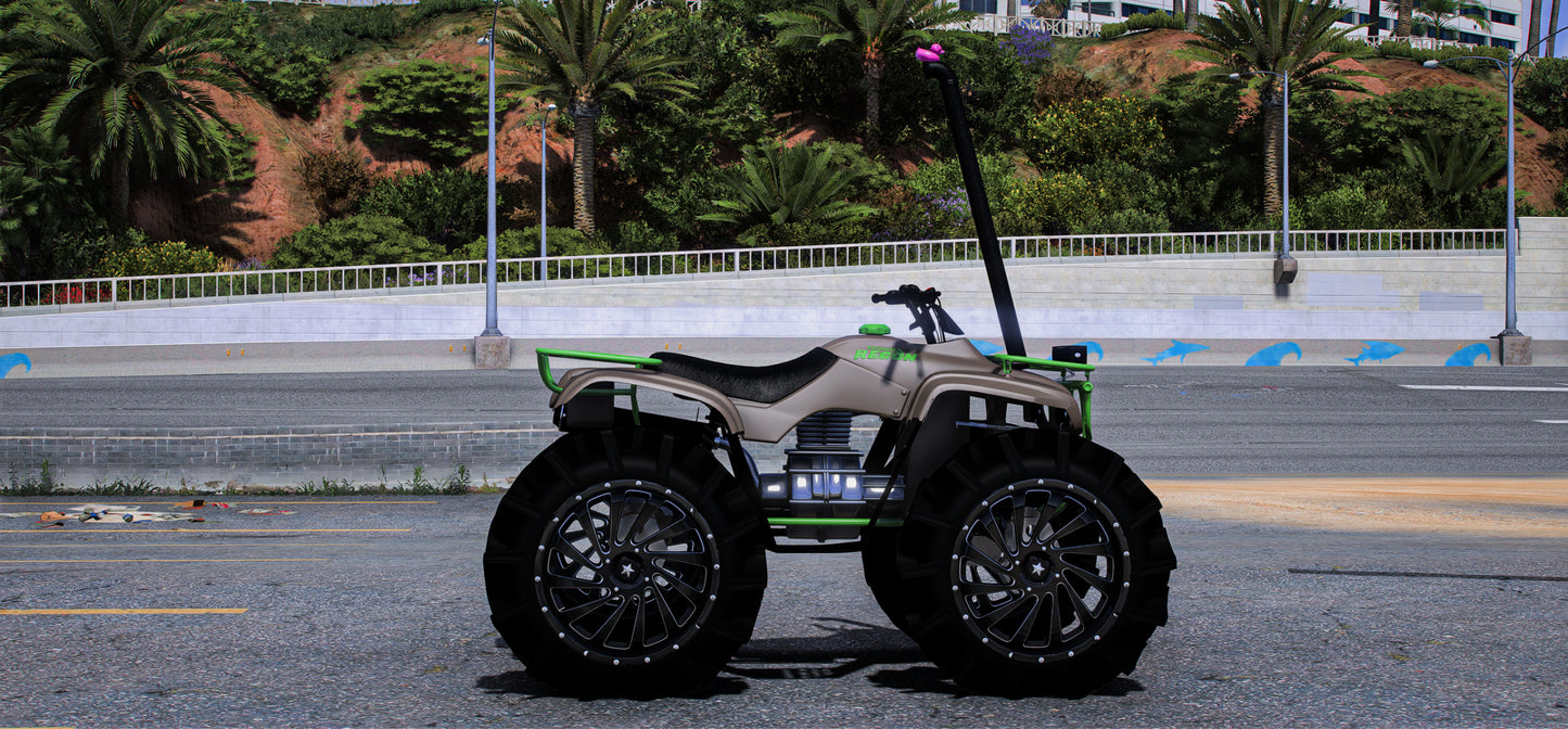Quad Honda 300 Big | Gavin