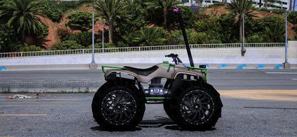 Quad Honda 300 Big | Gavin