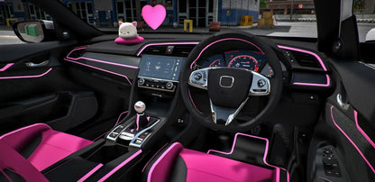 Honda Civic FK8 Type-R Pinky | DEFz Customs