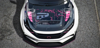 Honda Civic FK8 Type-R Pinky | DEFz Customs