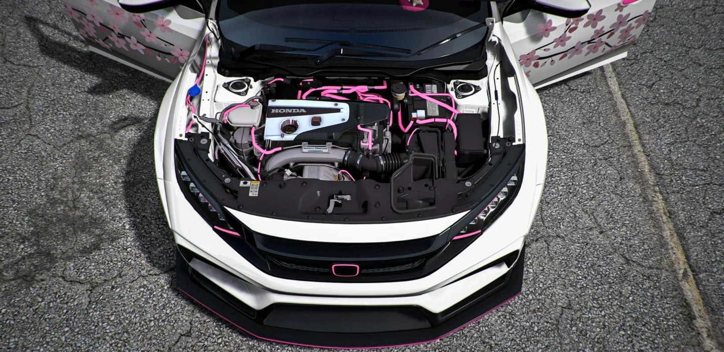 Honda Civic FK8 Type-R Pinky | DEFz Customs