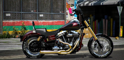 Harley Davidson Lowrider | Juda