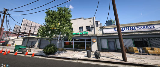 [MLO] San Andreas Sport Shop (Store)