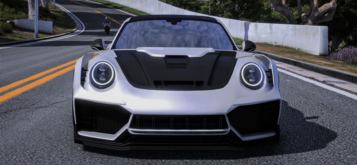 (Debadged) Porsche 911 Elemento | Hayes