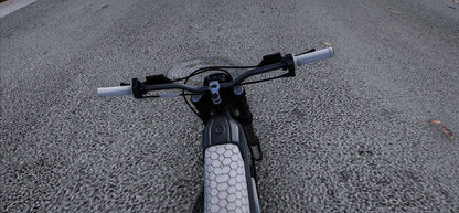 (Debadged) TERRIA EBIKE | GG