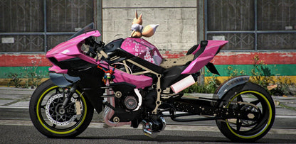 Kawasaki Ninja H2R Drag Eevee Edition | DEFz Customs