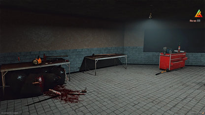 [MLO] Mirror Park Illegal Hospital