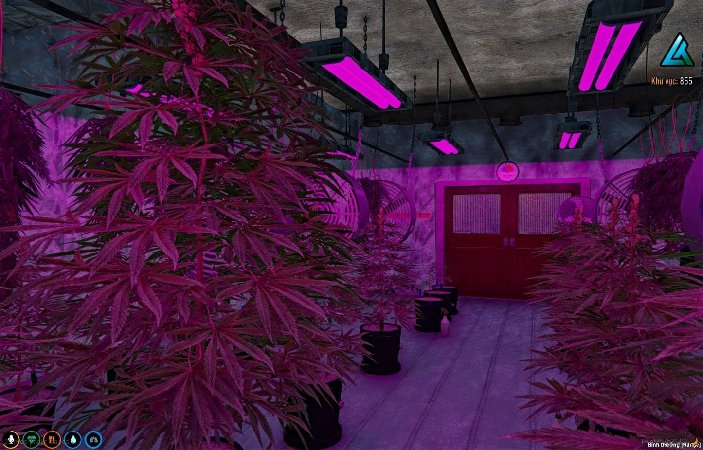 [MLO] Secret underground marijuana plantation