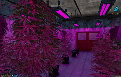 [MLO] Secret underground marijuana plantation