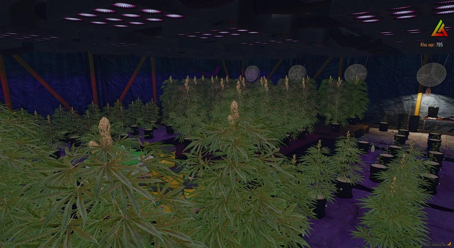 [MLO] Storage + Weed