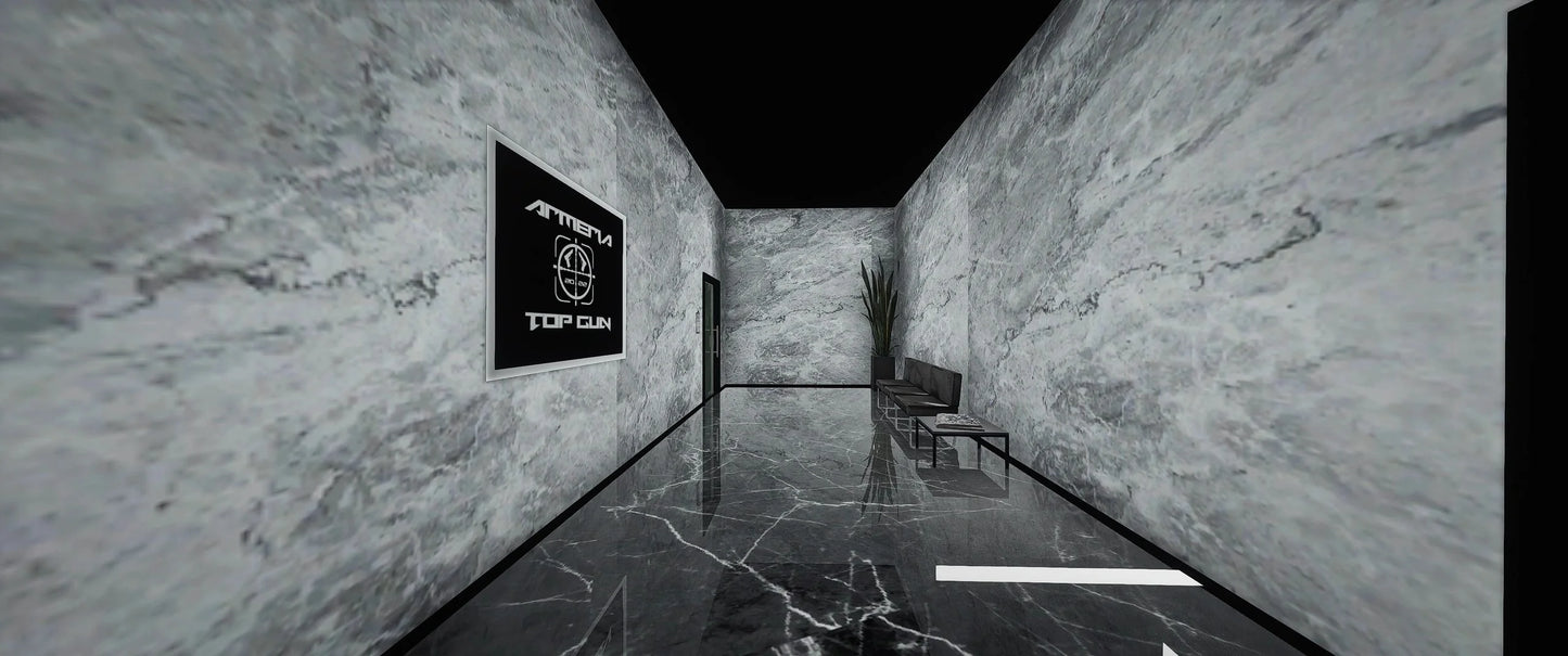 [MLO] Topgun Armeria