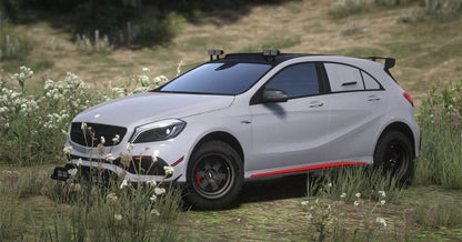 Mercedes AMG A45 4x4 | Hayes