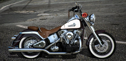 Panhead "Viejo" | Acknod Motorcycles