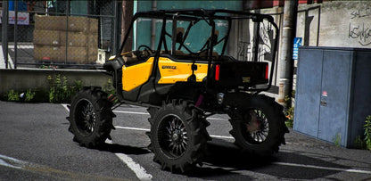 Quad Honda Pioneer 1000 | LBC