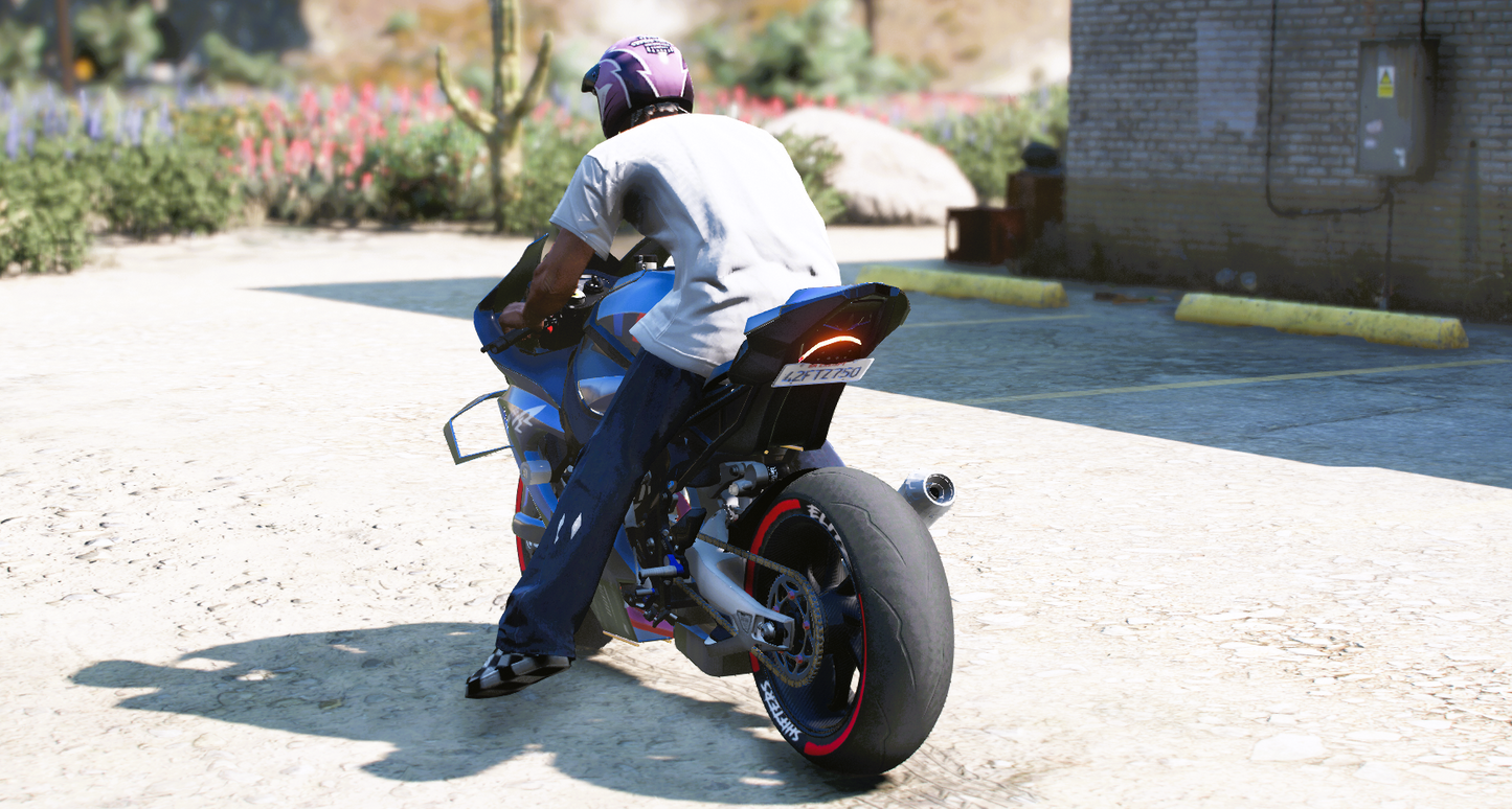 (Rebranded) 2021 BMW M1000RR Full Carbon