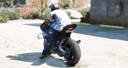 (Rebranded) 2021 BMW M1000RR Full Carbon