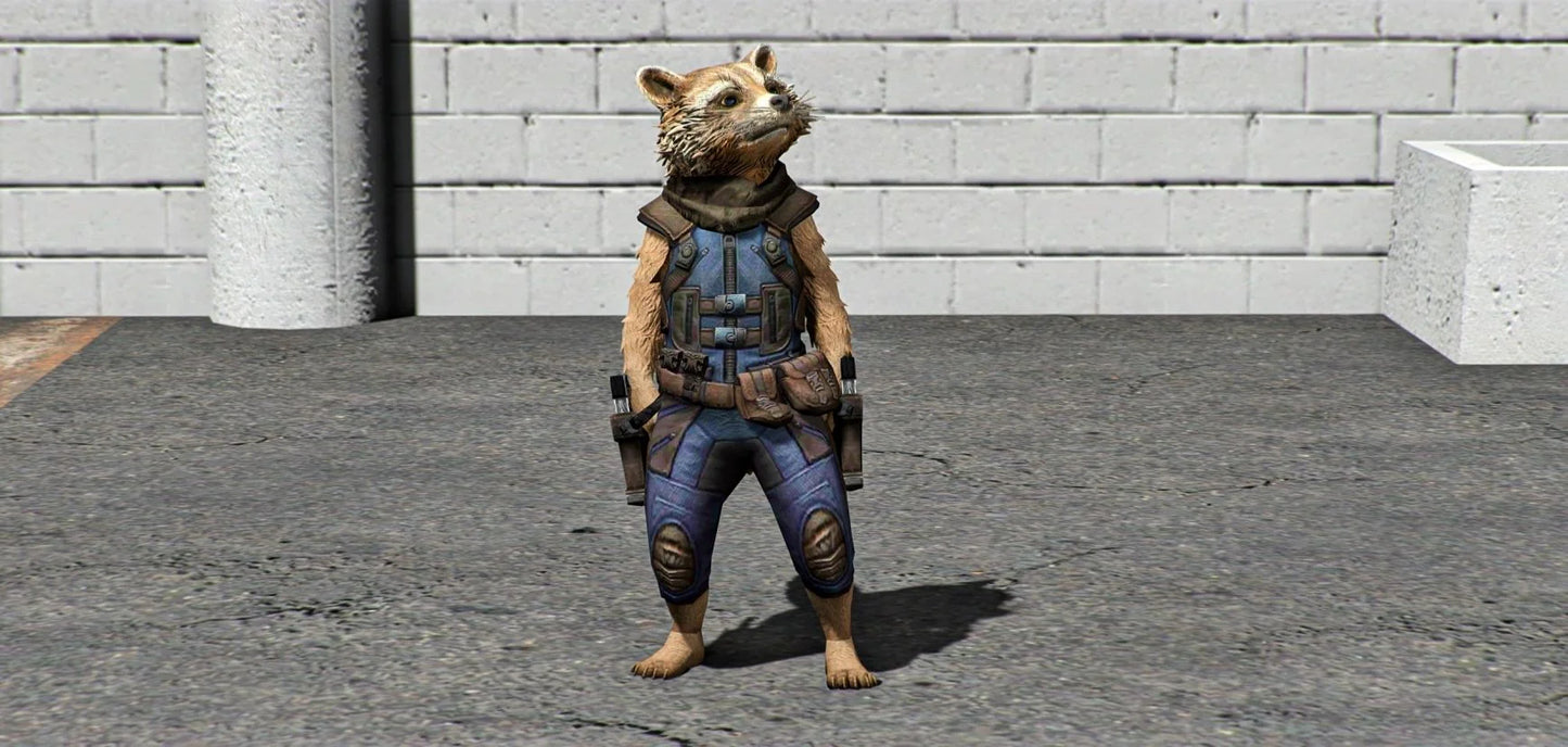 Rocket Raccoon