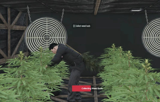 Realistic Weed Processing and Selling Script + [MLO] Serenity Wellness - QBCore