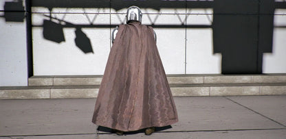 The Mandalorian