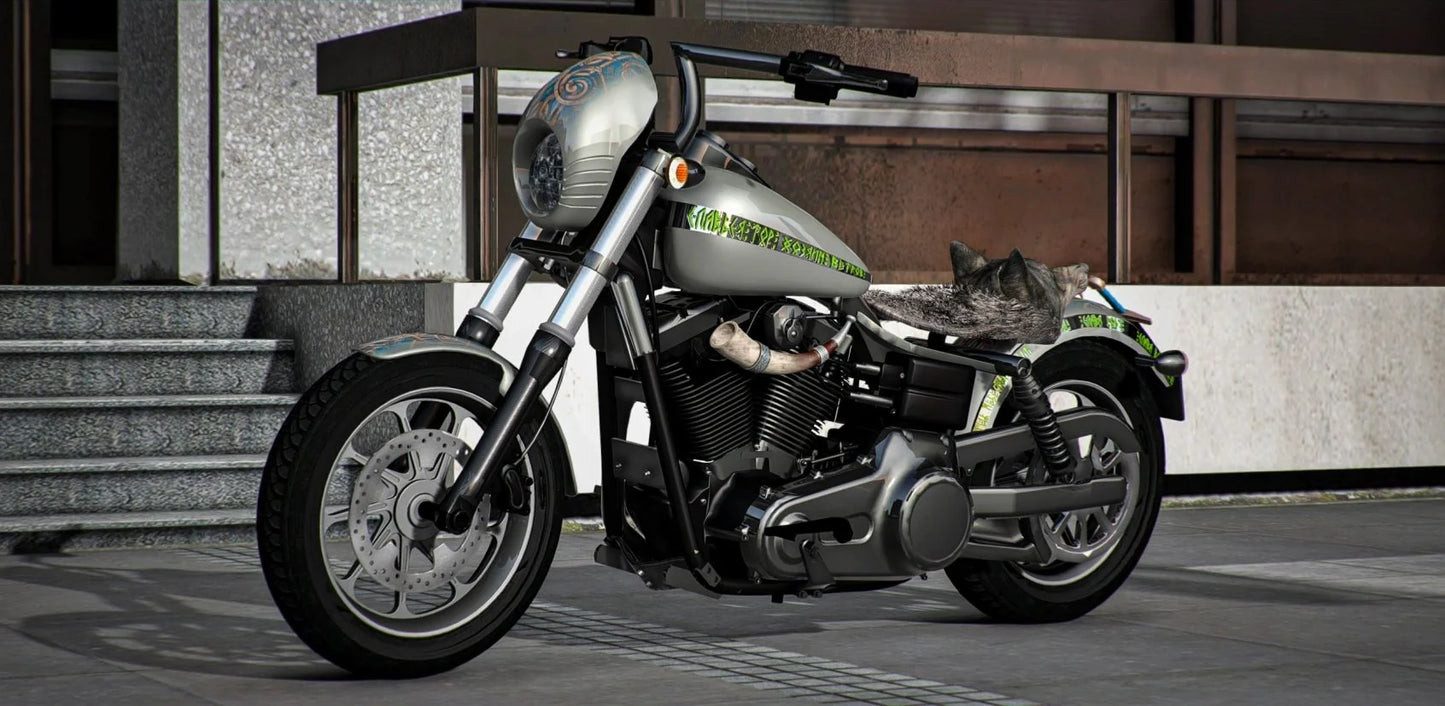 Varangian II | Acknod Motorcycles